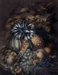 Studie von Früchten